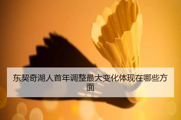 东契奇湖人首年调整最大变化体现在哪些方面